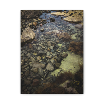 Rocks Matte Canvas, Stretched, 1.25"