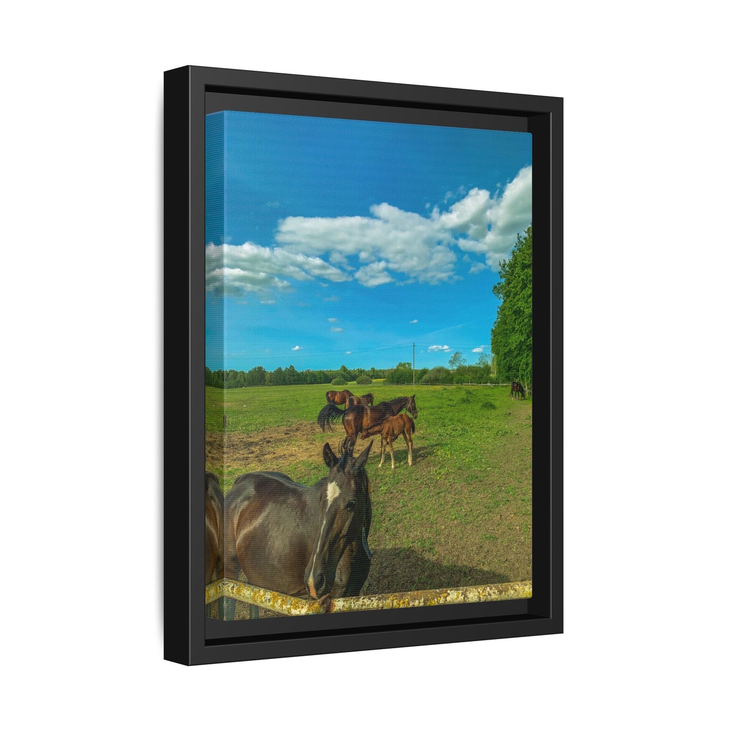 horses 2 Matte Canvas, Framed (Multi-color)