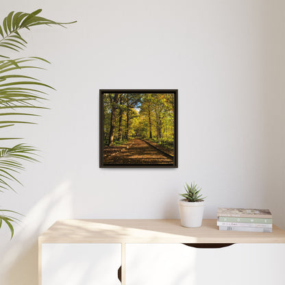 Listowel Town Park Autumn Matte Canvas, Framed (Multi-color)