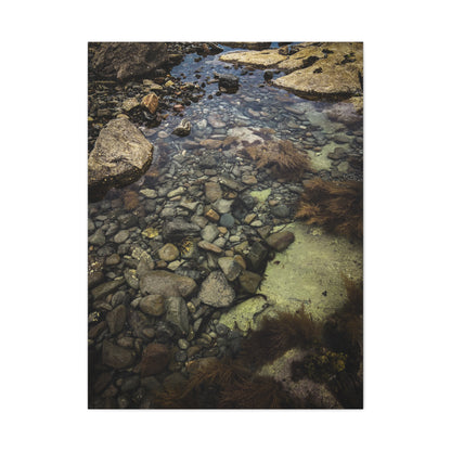 Rocks Matte Canvas, Stretched, 1.25"