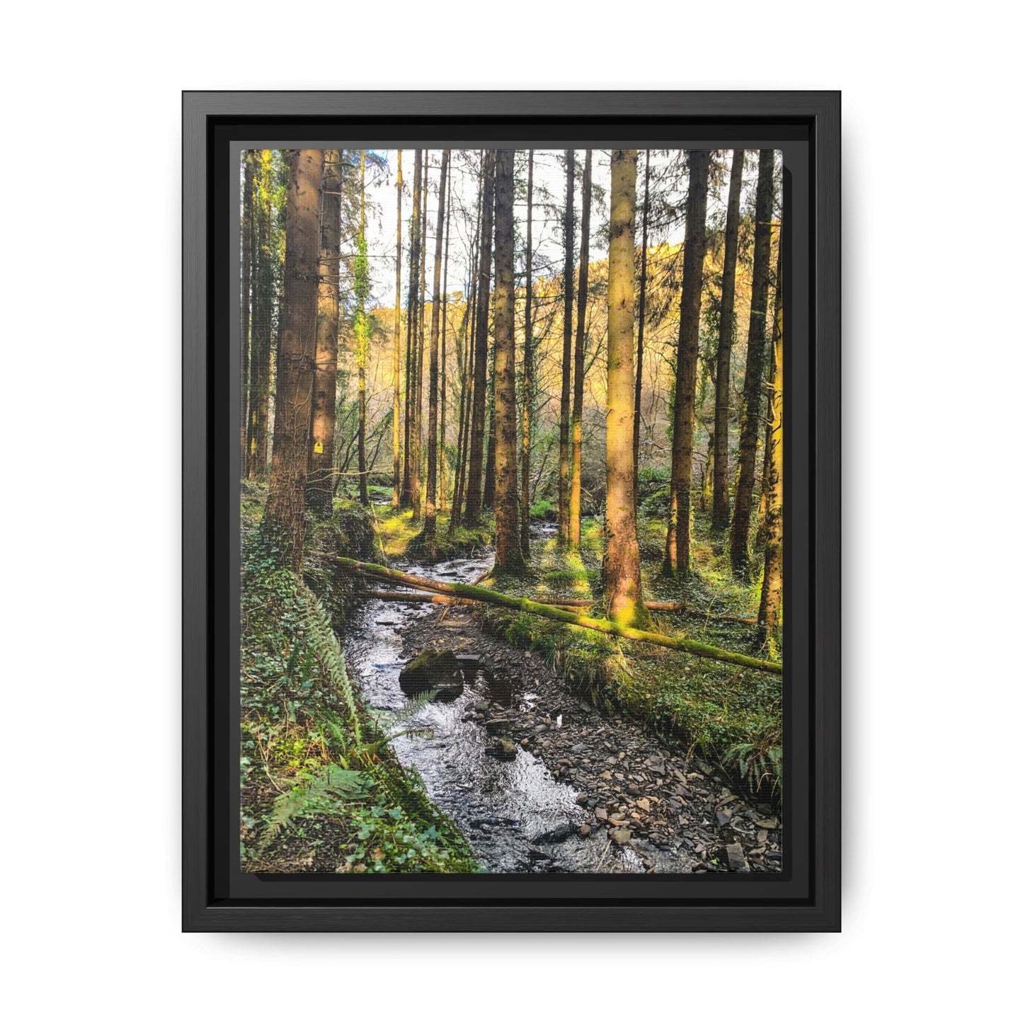 Glanageenty Forest Trail 2 Matte Canvas, Framed (Multi-color)