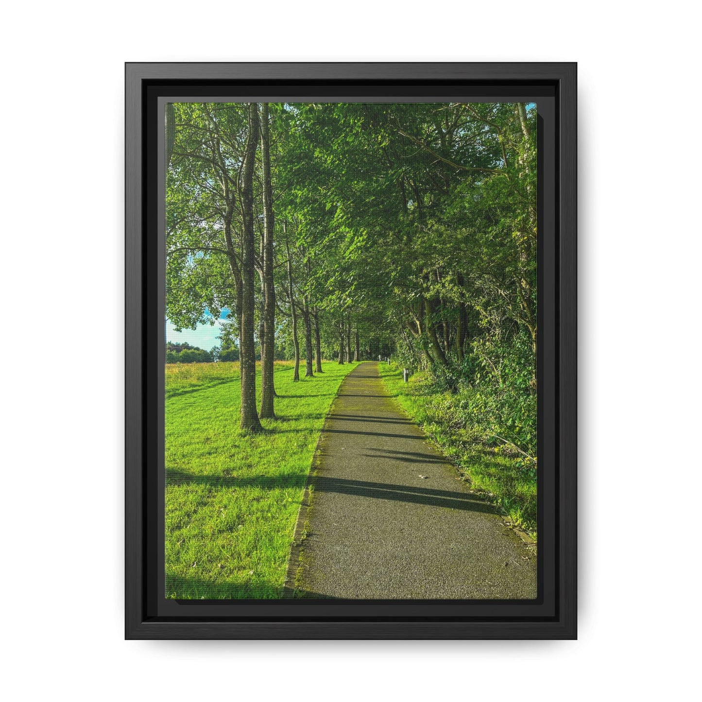 Listowel Town Park Matte Canvas, Framed (Multi-color)