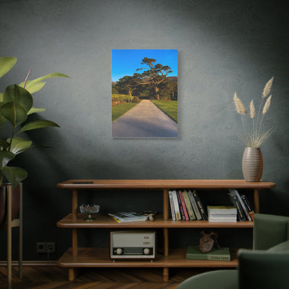 Muckross House Garden Matte Canvas, Stretched, 1.25"
