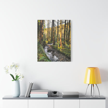 Glanageenty Forest Trail 2 Matte Canvas, Stretched, 1.25"