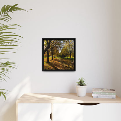 Listowel town Park Autumn Matte Canvas, Framed (Multi-color)