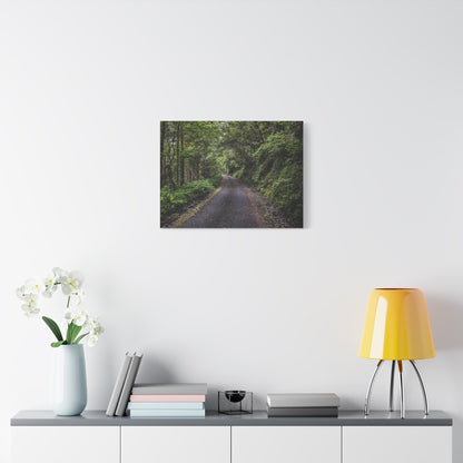 Glanageenty Forest Trail Matte Canvas, Stretched, 1.25"