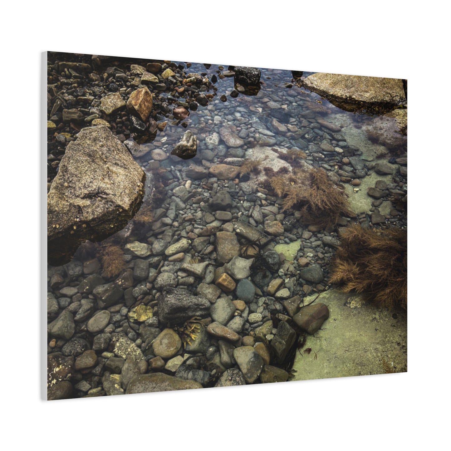 Rocks Matte Canvas, Stretched, 1.25"