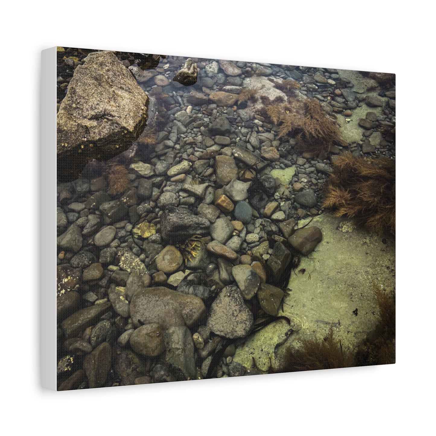 Rocks Matte Canvas, Stretched, 1.25"