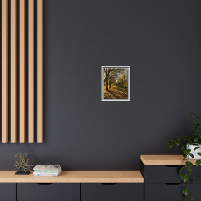 Listowel town Park Autumn Matte Canvas, Framed (Multi-color)