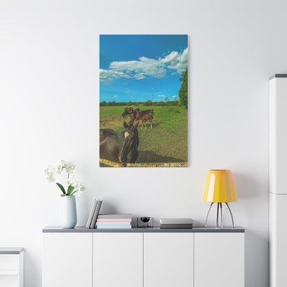 Horse Matte Canvas, Stretched, 1.25"