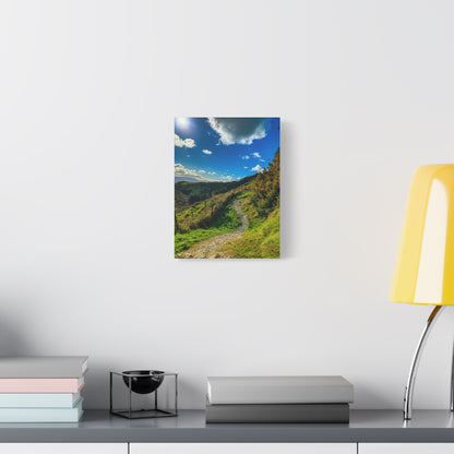 Glanageenty Forest Trail Matte Canvas, Stretched, 1.25"