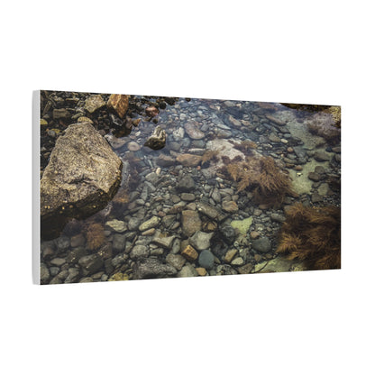 Rocks Matte Canvas, Stretched, 1.25"