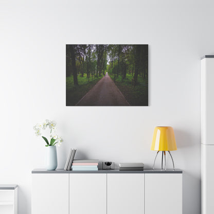 Zagares Park Lithuania Matte Canvas, Stretched, 1.25"