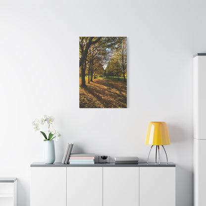 Listowel Town Park Autumn Matte Canvas, Stretched, 1.25"