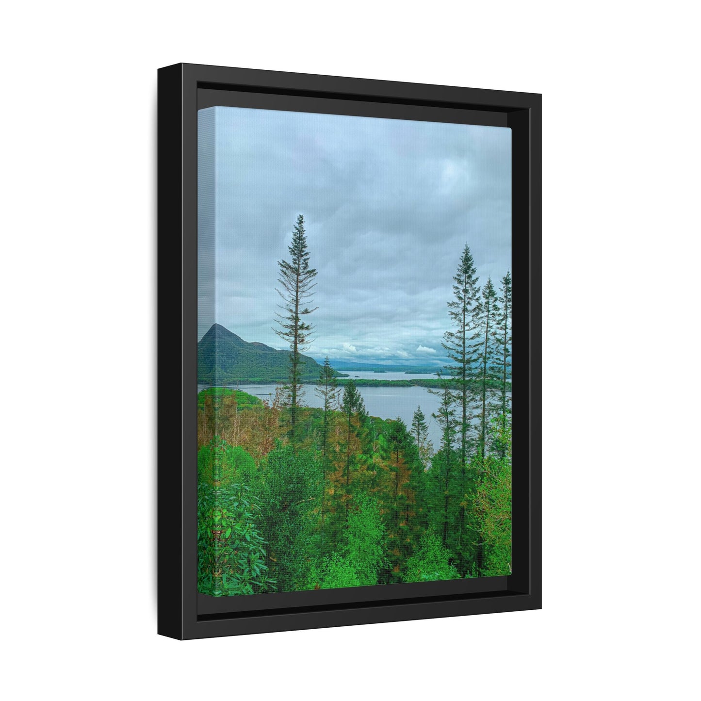 Torc Mountain Trail 2 Matte Canvas, Framed (Multi-color)