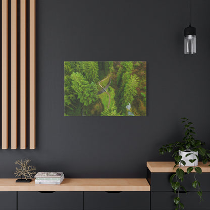Glanageenty Forest Matte Canvas, Stretched, 1.25"