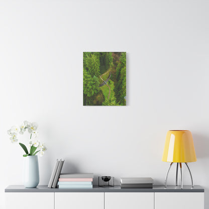 Glanageenty Forest Matte Canvas, Stretched, 1.25"