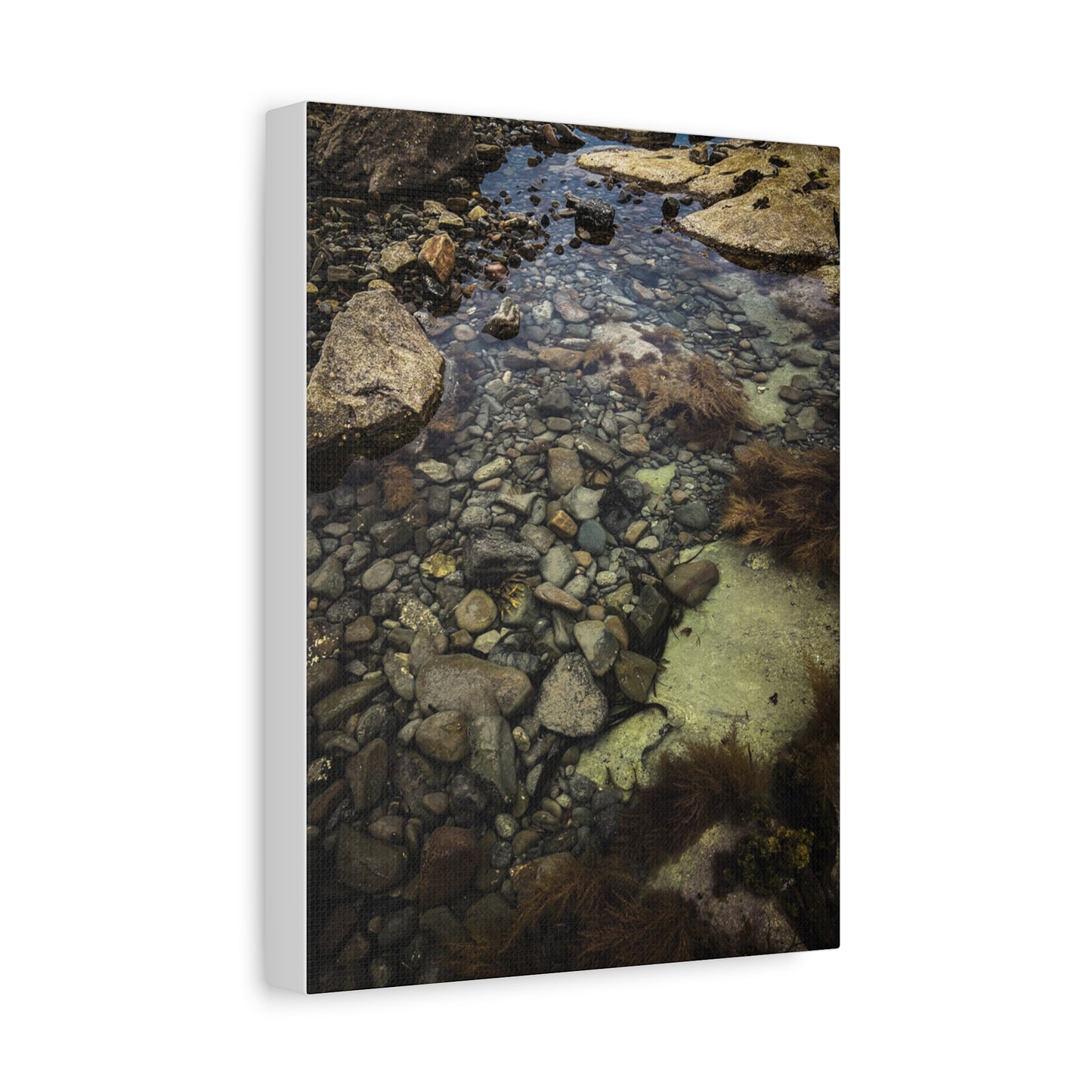 Rocks Matte Canvas, Stretched, 1.25"