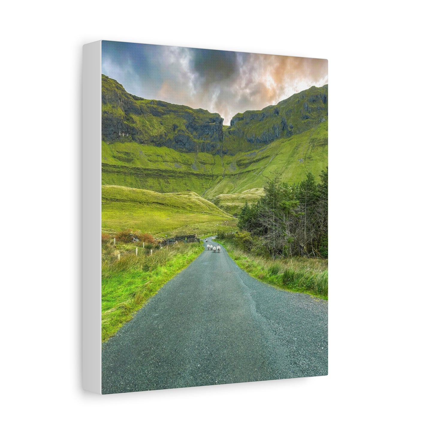 Gleniff Horseshoe Matte Canvas, Stretched, 1.25"