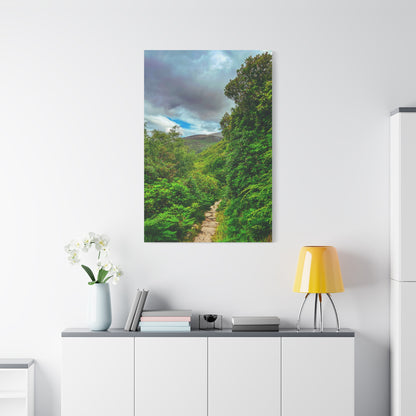 Torc Trail Matte Canvas, Stretched, 1.25"