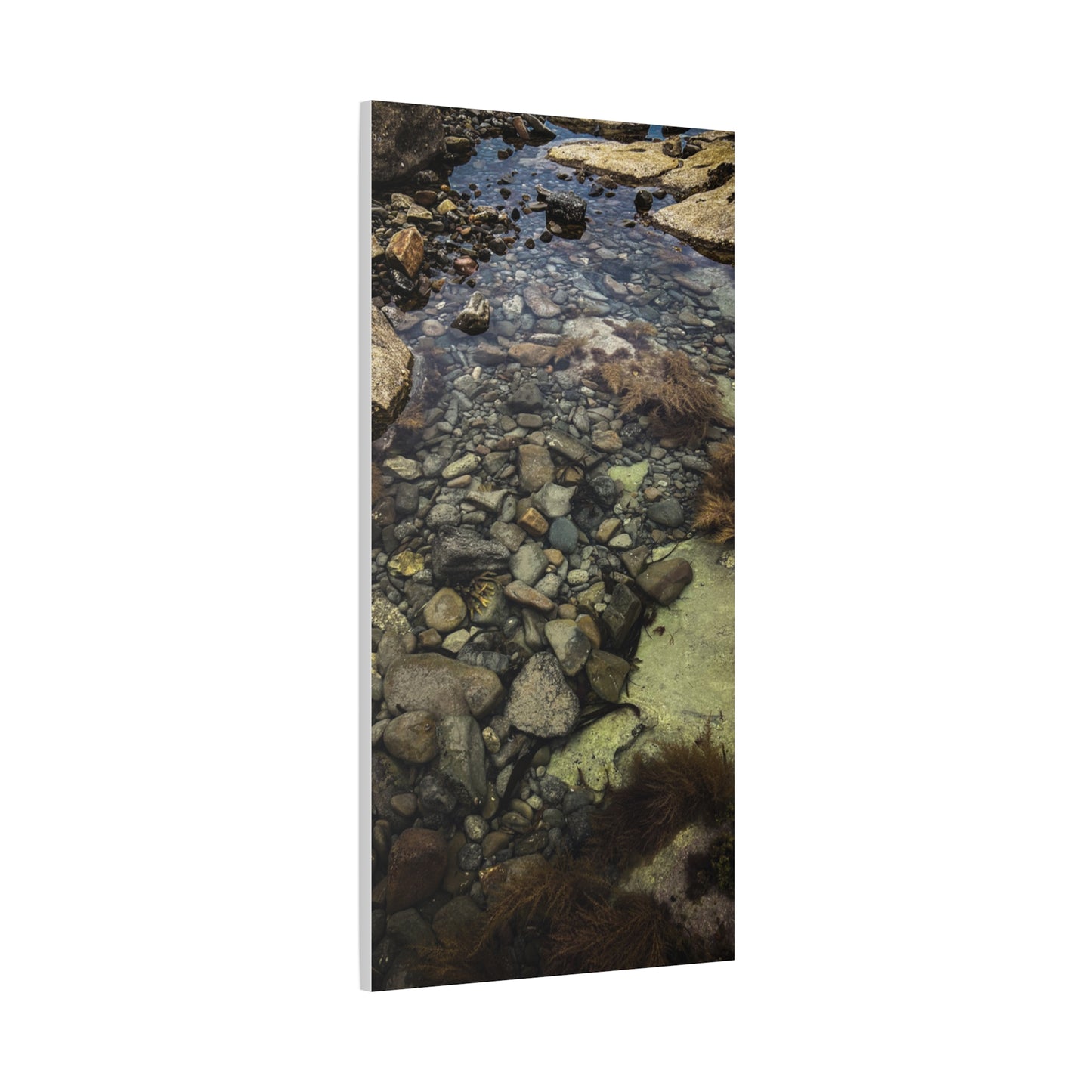 Rocks Matte Canvas, Stretched, 1.25"