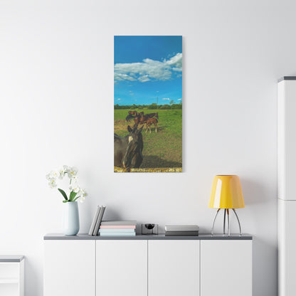 Horse Matte Canvas, Stretched, 1.25"