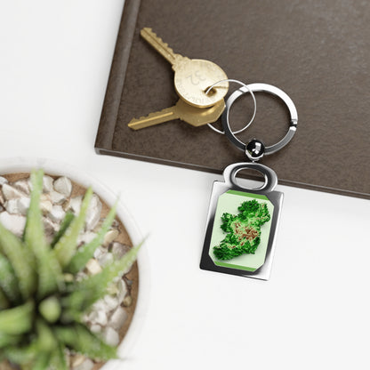 Eire Green Rectangle Photo Keyring