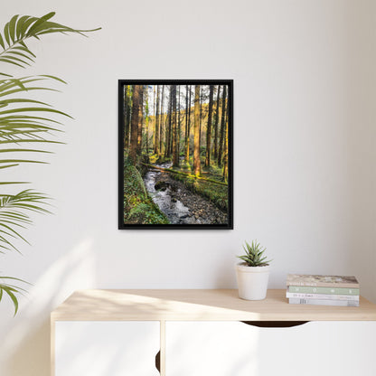 Glanageenty Forest Trail 2 Matte Canvas, Framed (Multi-color)