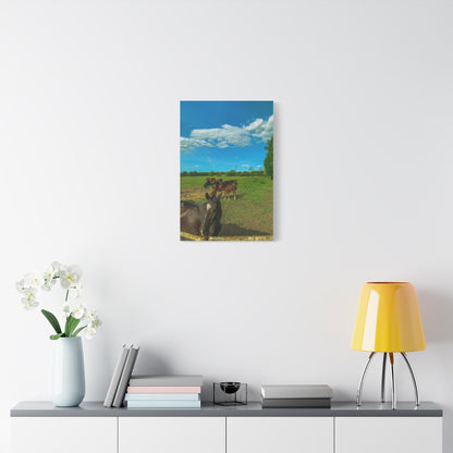 Horse Matte Canvas, Stretched, 1.25"