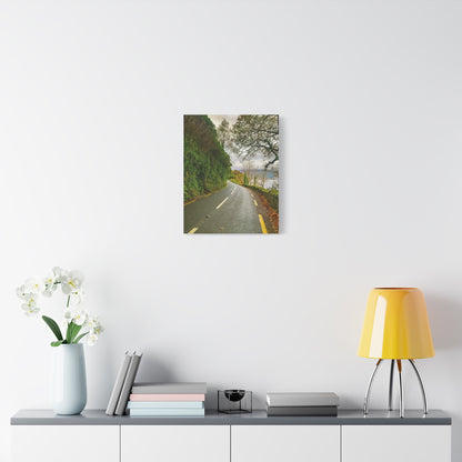 Killarney National Park Matte Canvas, Stretched, 1.25"