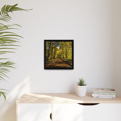 Listowel Town Park Autumn Matte Canvas, Framed (Multi-color)