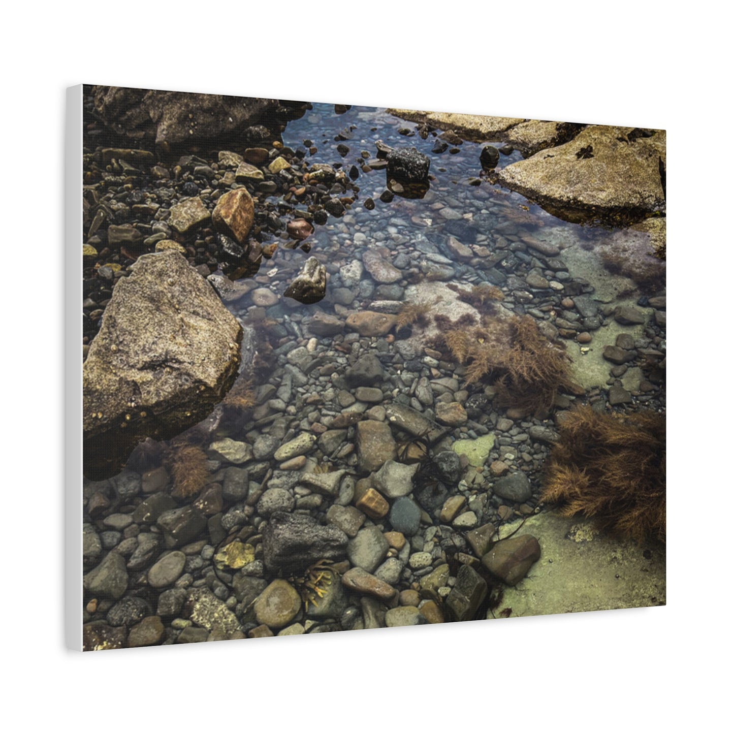 Rocks Matte Canvas, Stretched, 1.25"