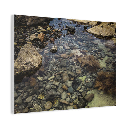 Rocks Matte Canvas, Stretched, 1.25"