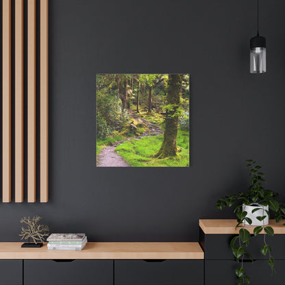 Torc Trail Matte Canvas, Stretched, 1.25"