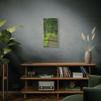 Listowel Town Park Matte Canvas, Stretched, 1.25"