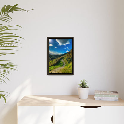 Glanageenty Forest Trail  Matte Canvas, Framed (Multi-color)