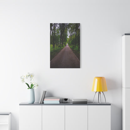 Zagares Park Lithuania Matte Canvas, Stretched, 1.25"