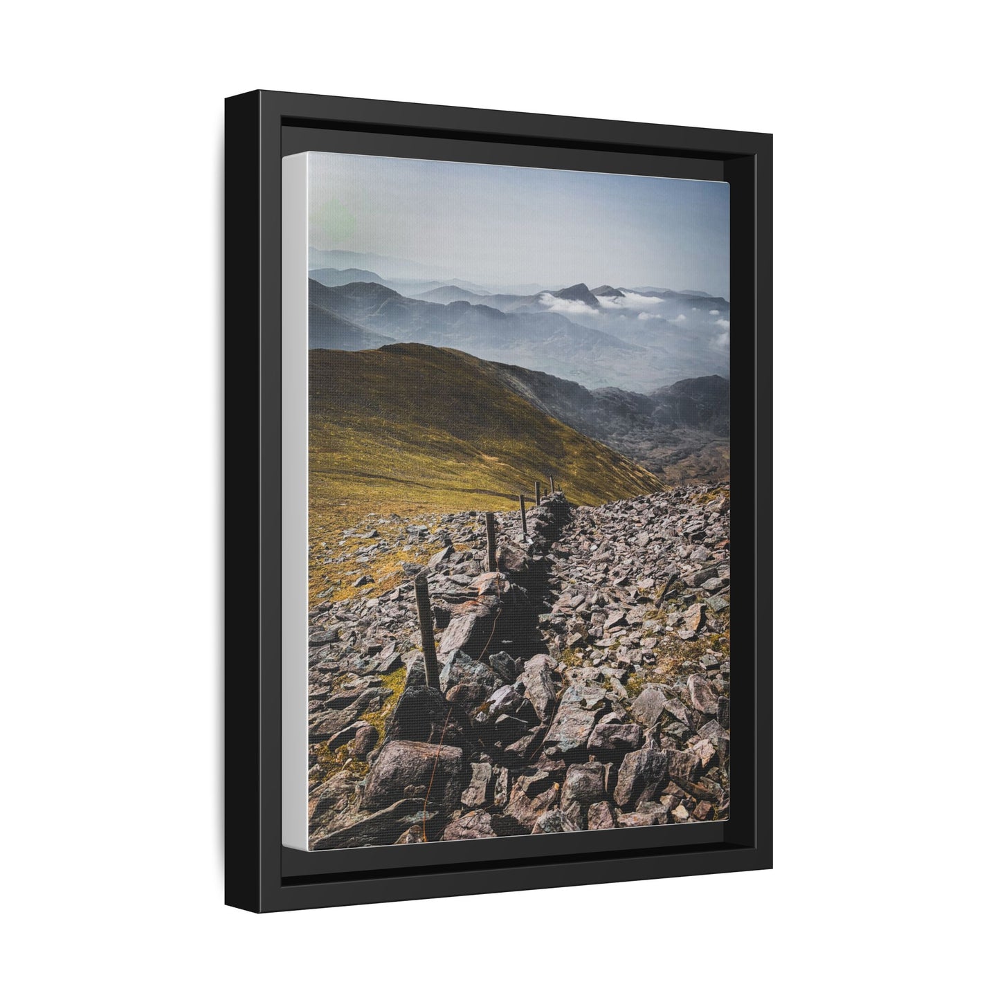 Wall Matte Canvas, Framed (Multi-color)