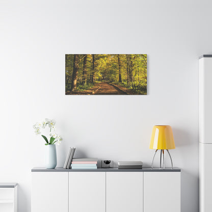Listowel Town Park Autumn Matte Canvas, Stretched, 1.25"