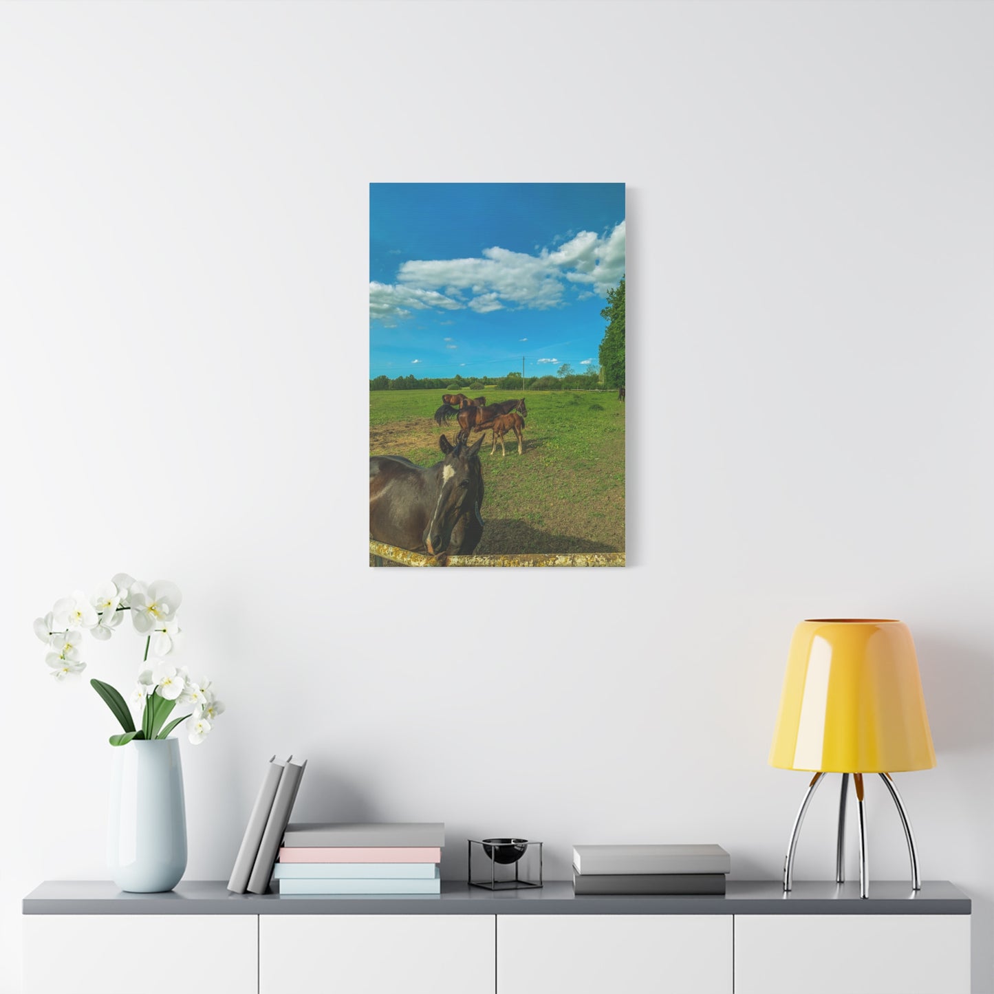 Horse Matte Canvas, Stretched, 1.25"