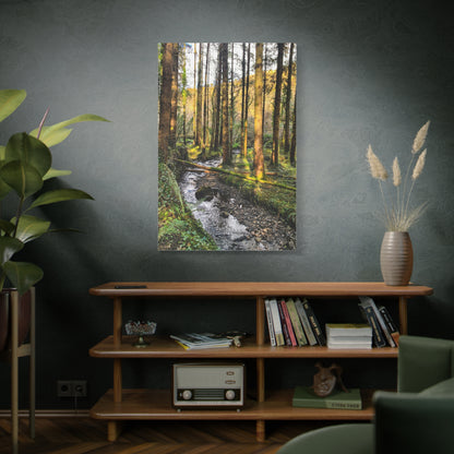 Glanageenty Forest Trail 2 Matte Canvas, Stretched, 1.25"