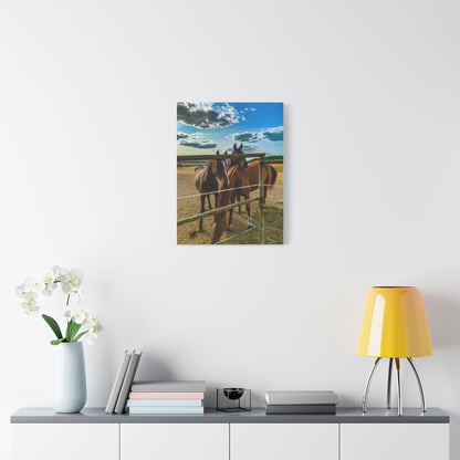 Horses Matte Canvas, Stretched, 1.25"