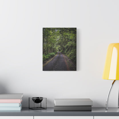 Glanageenty Forest Trail Matte Canvas, Stretched, 1.25"