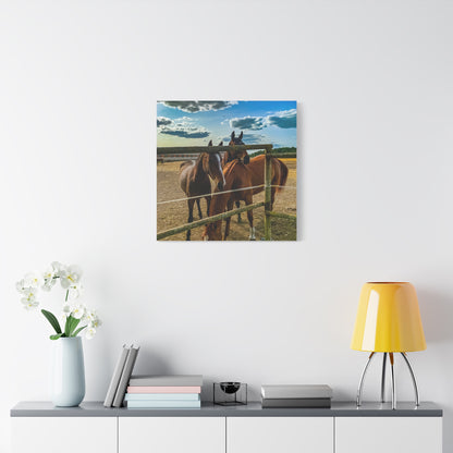 Horses Matte Canvas, Stretched, 1.25"