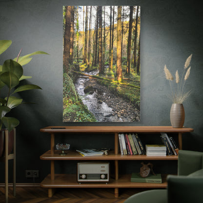Glanageenty Forest Trail 2 Matte Canvas, Stretched, 1.25"