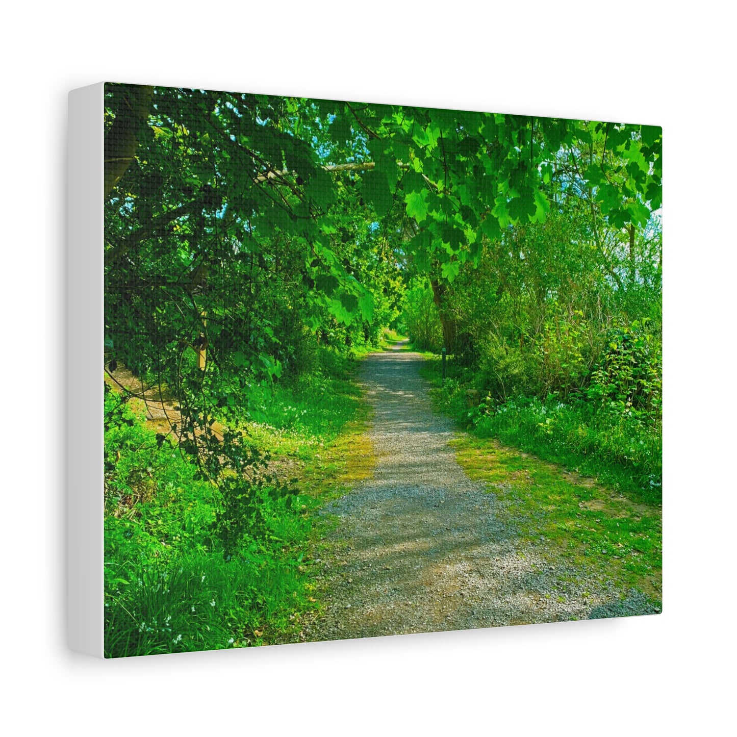 Listowel River Walk Matte Canvas, Stretched, 1.25"