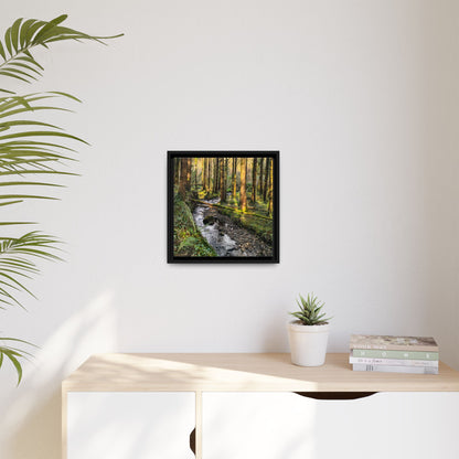 Glanageenty Forest Trail 2 Matte Canvas, Framed (Multi-color)
