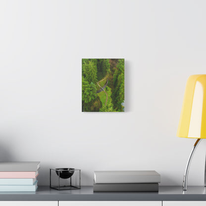 Glanageenty Forest Matte Canvas, Stretched, 1.25"