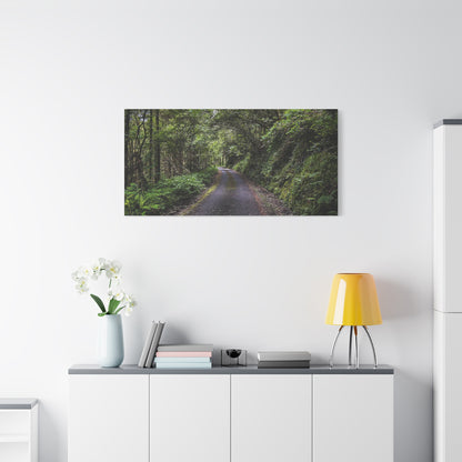 Glanageenty Forest Trail Matte Canvas, Stretched, 1.25"