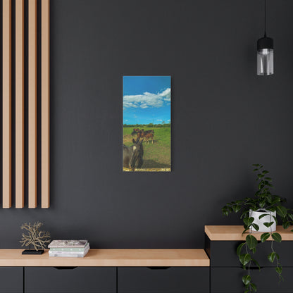 Horse Matte Canvas, Stretched, 1.25"